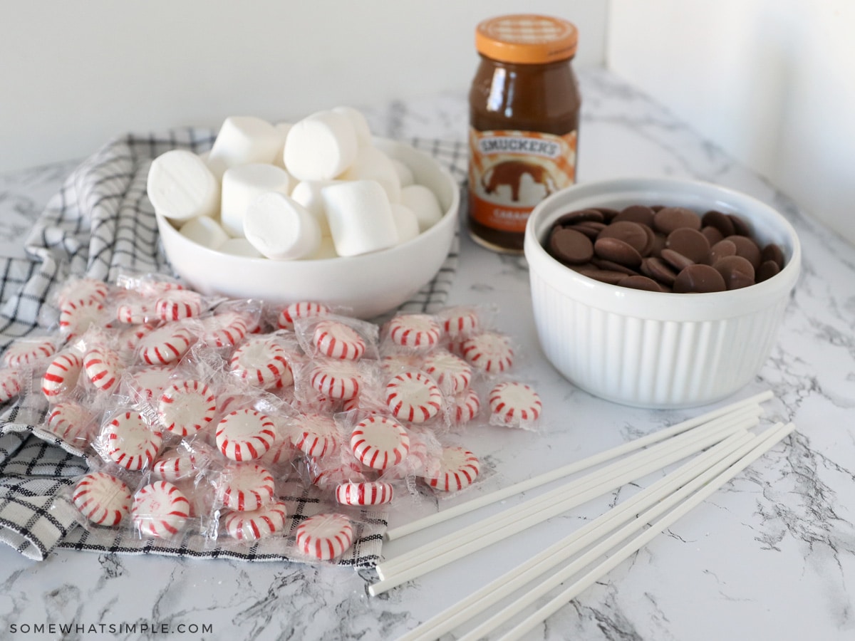 ingredients needed to make marshmallow pops
