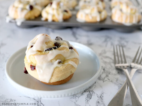 close up of a cranberry orange sweet roll