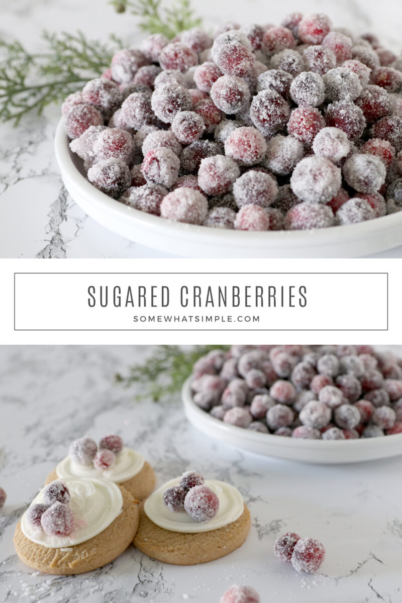 collage of images showing how to make sugared cranberries