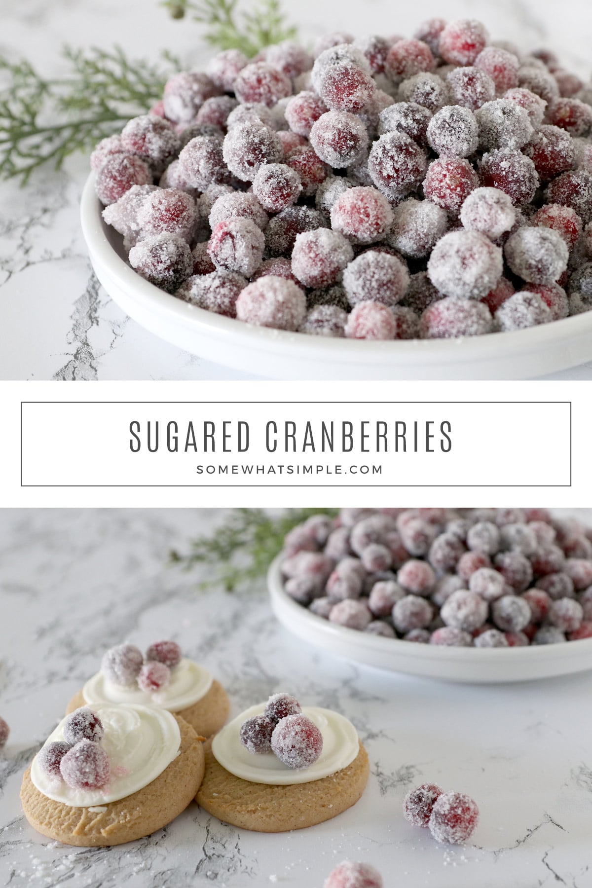 Sugared cranberries are easy to make and perfect to use as a garnish for baked goods and holiday desserts. They're sweet, tart, and totally delicious! via @somewhatsimple