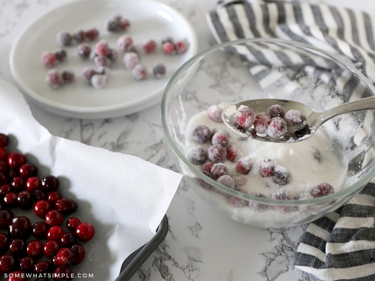 tossing sugared cranberries in white sugar