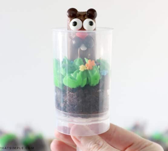 child holding a graoundhog's day cake pop