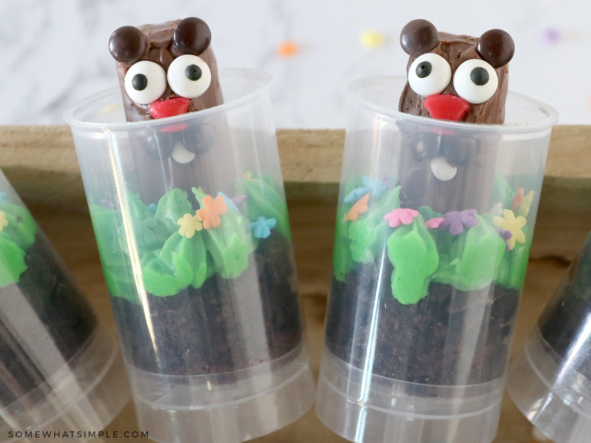 ground hog cake pops laying in a line on a wood tray