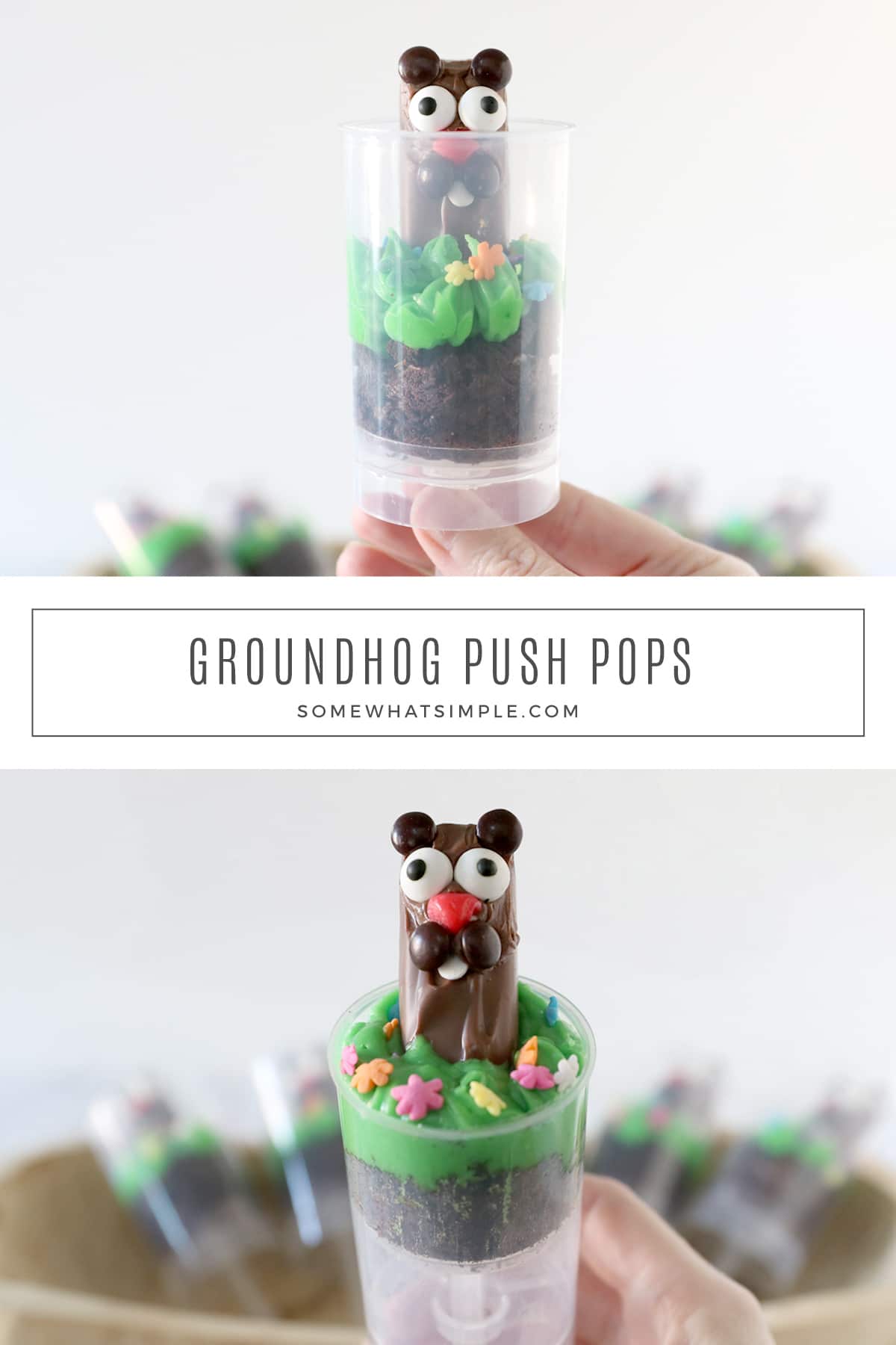 Celebrate the popular North American tradition with some fun Groundhogs Day Treats! These Push-Up Cake Pops are deliciously festive and so fun for kids! via @somewhatsimple