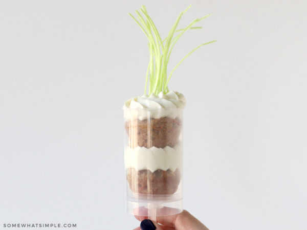 hand holding a carrot cake push pop against a white background