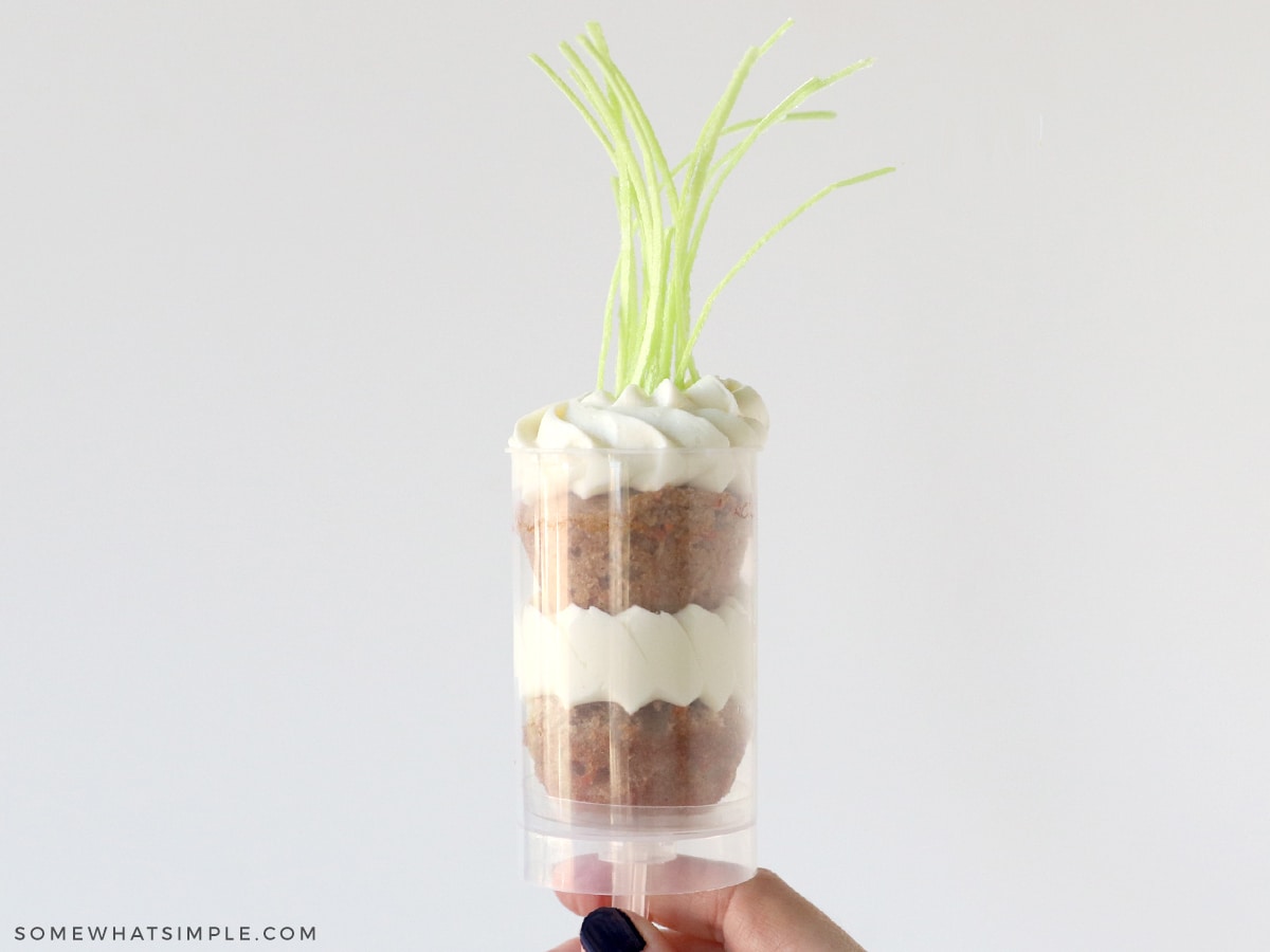 hand holding a carrot cake push pop against a white background