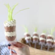 a hand holding a carrot cake push pop