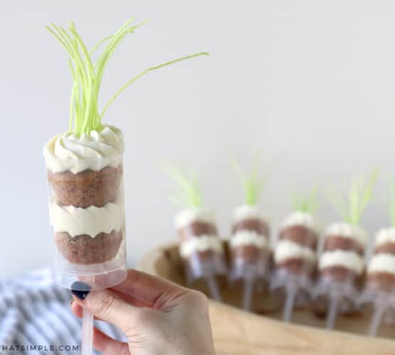 a hand holding a carrot cake push pop
