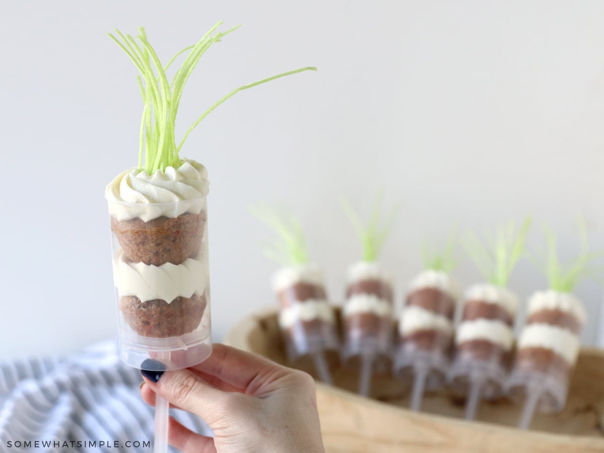 a hand holding a carrot cake push pop