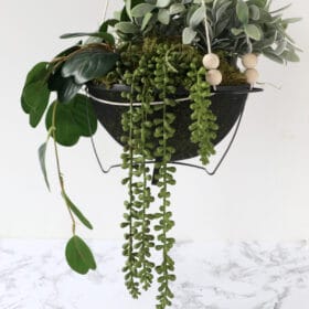 long image of a hanging planter