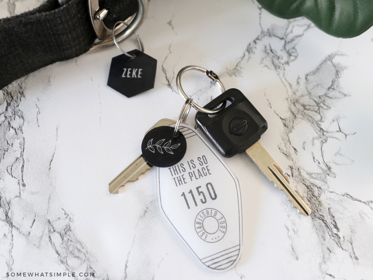 set of keys and a dog collar on white marble counters