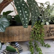 wax paper stenciled planter box