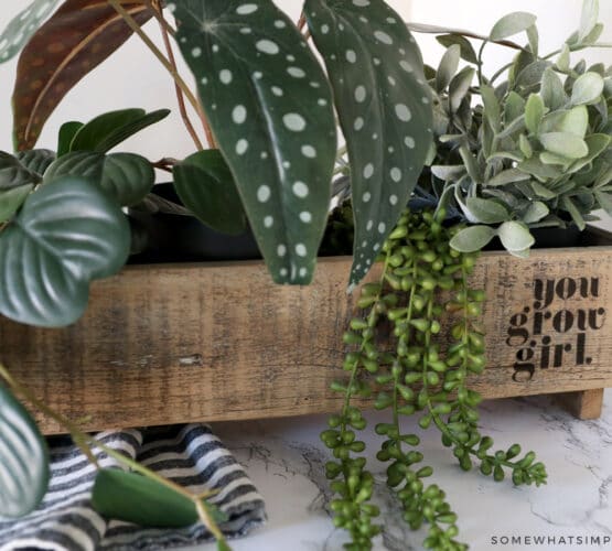 wax paper stenciled planter box