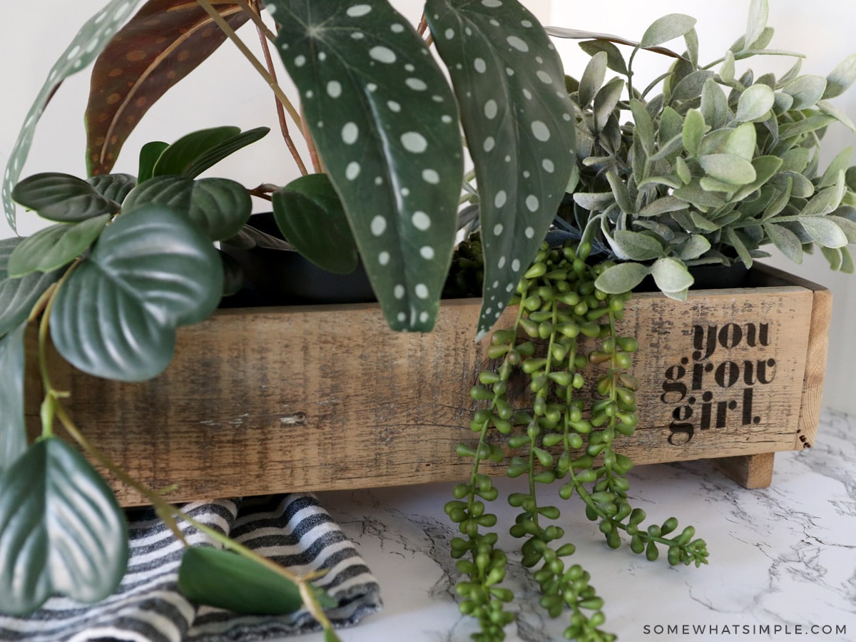 wax paper stenciled planter box