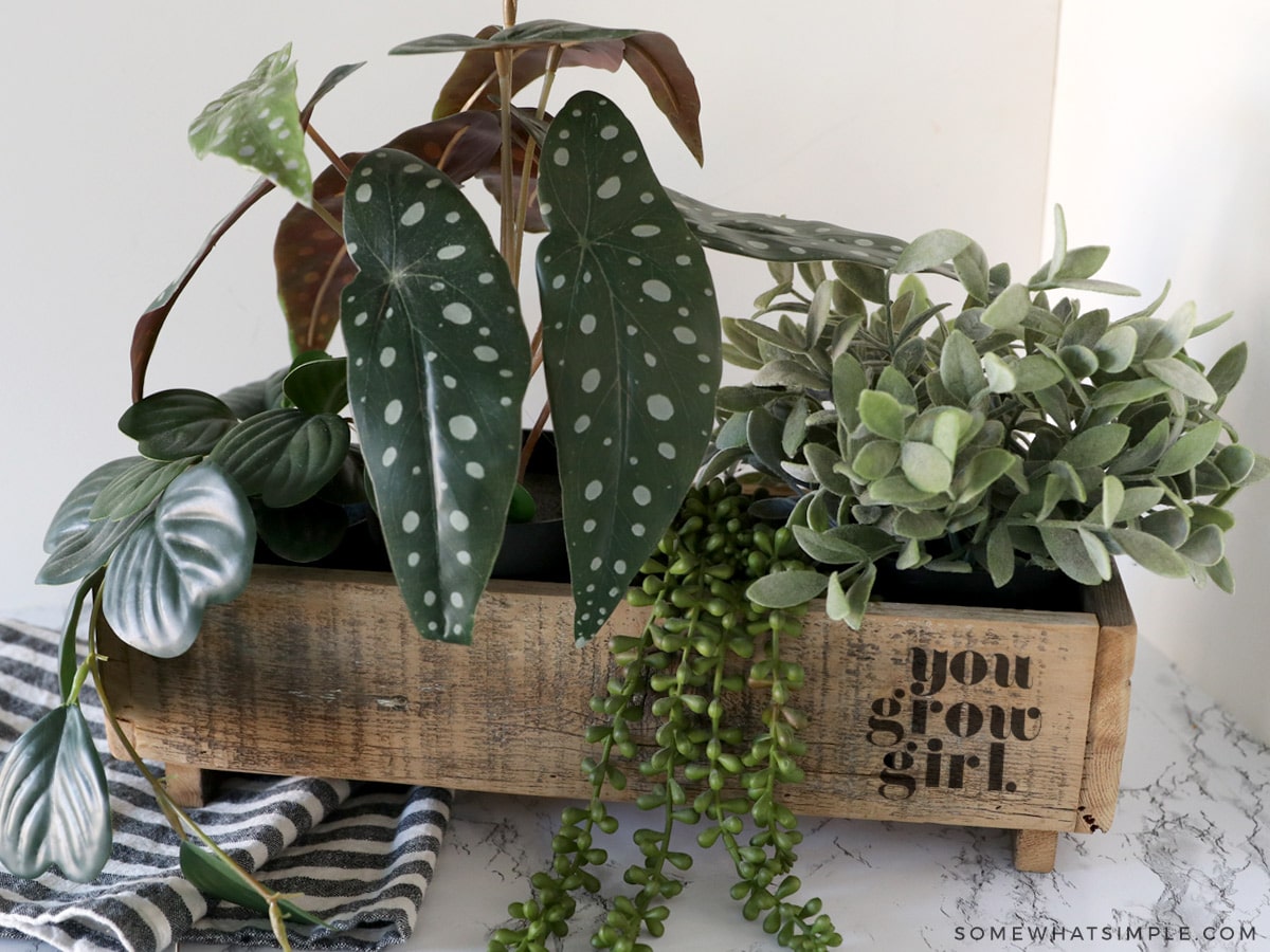 finished project - a planter with the words "you grow girl" on it