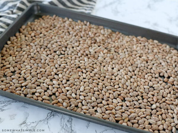 pinto beans laid out onto a baking sheet