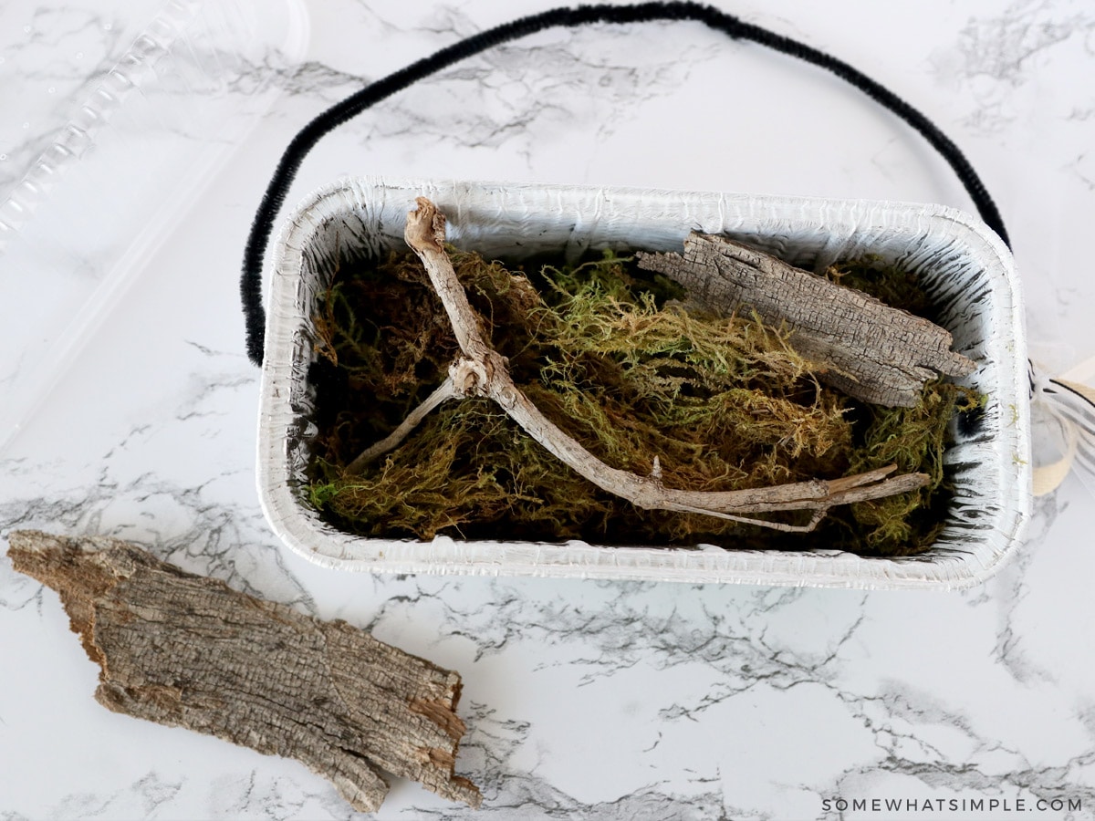 adding wood chips to a bug catcher