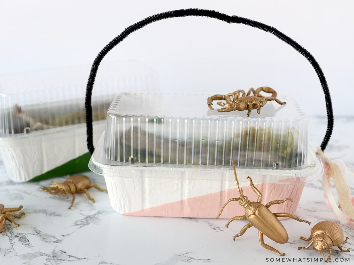 finished bug catchers made from disposable bread loaf pans