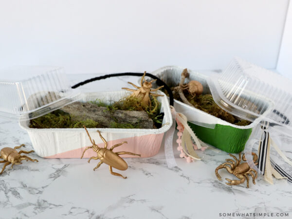 2 homemade bug catchers on a white counter