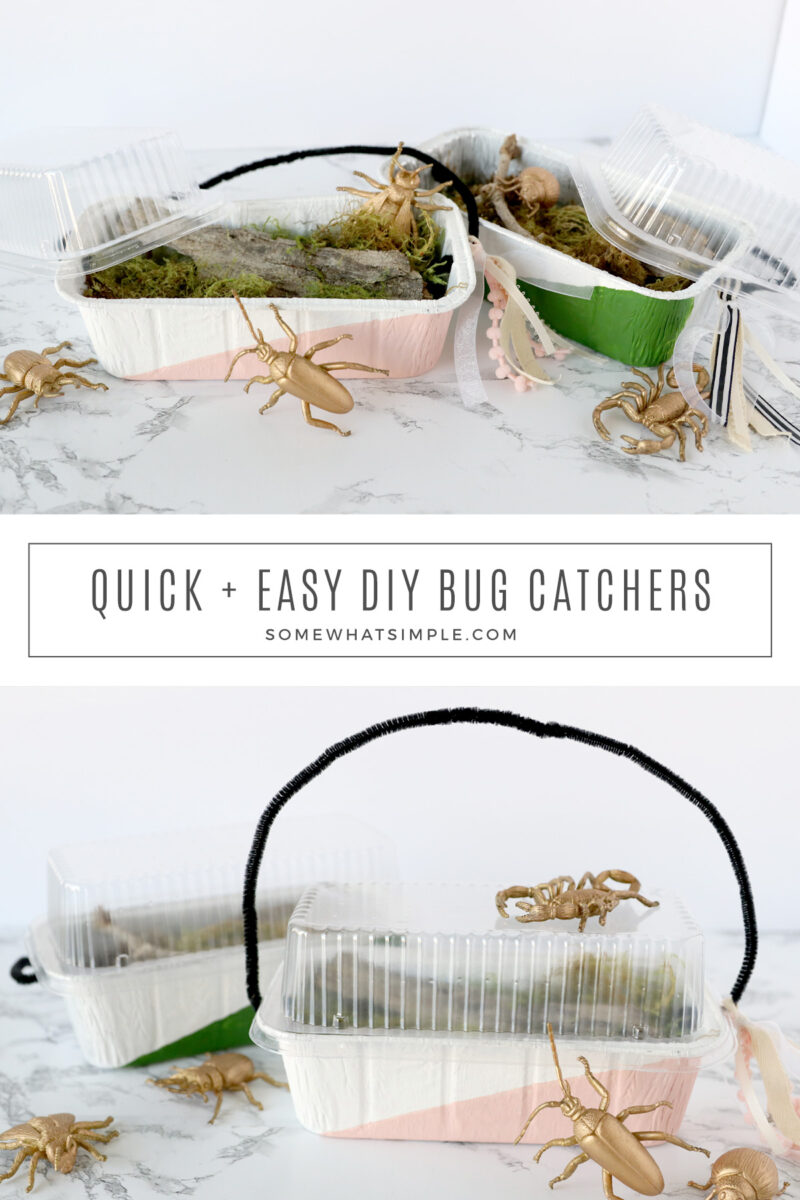 collage of homemade bug catchers