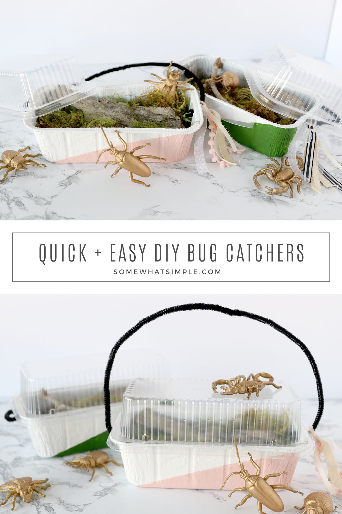 A fun way to explore the outdoors, and capture insects without harming them, here's how to make your own bug catchers from a disposable bread pan. via @somewhatsimple