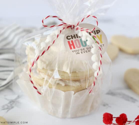 cookies wrapped up for a gift