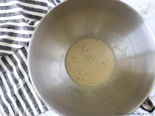 yeast and water in a mixing bowl