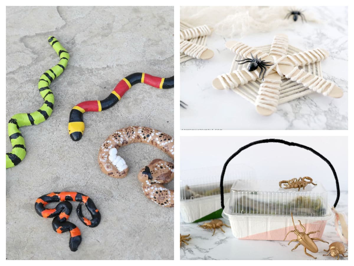 bug and creature crafts for boys