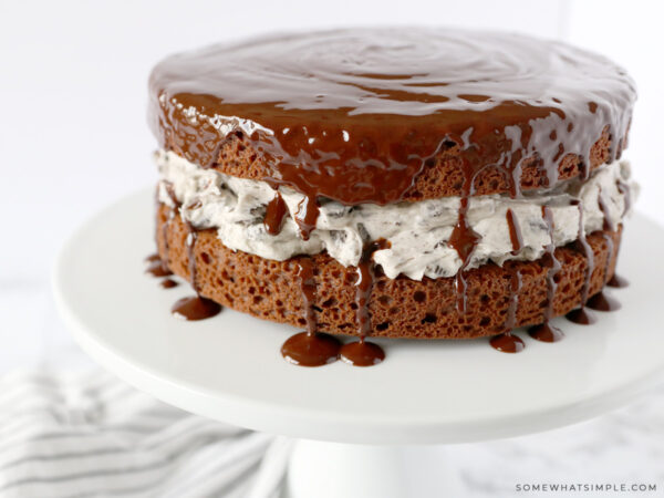 drizzled chocolate cake with melted chocolate