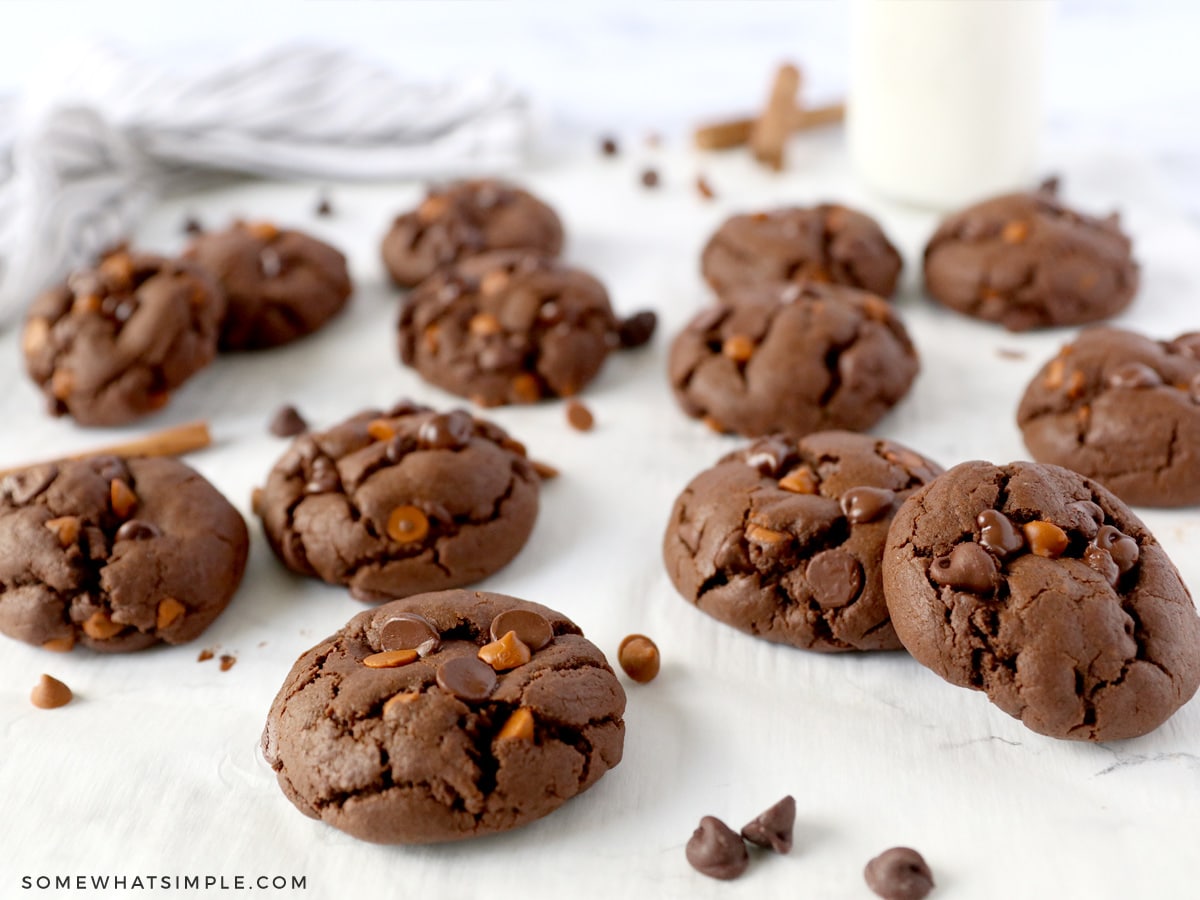 a dozen chocolate cookies scattered about on a white counter