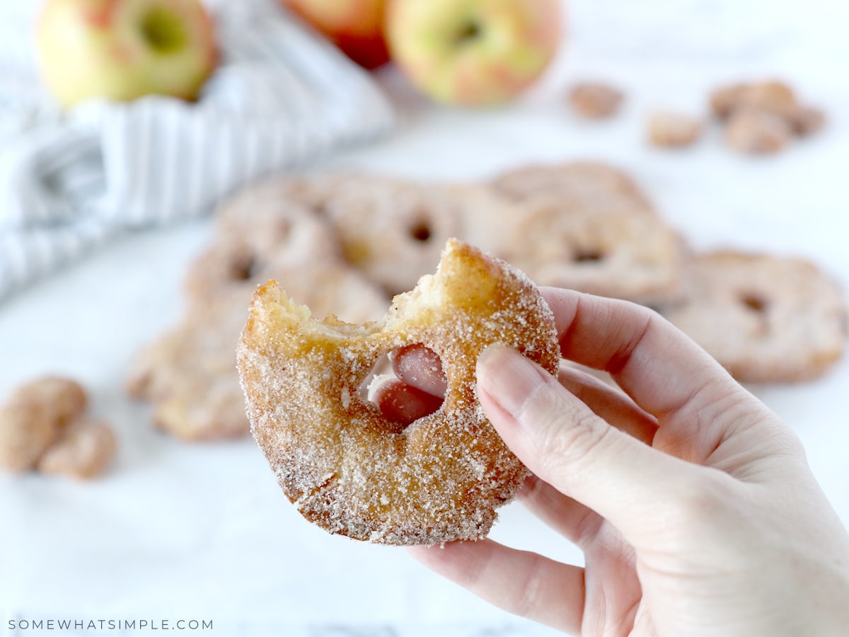 hand holding a fried apple slice that has been bitten