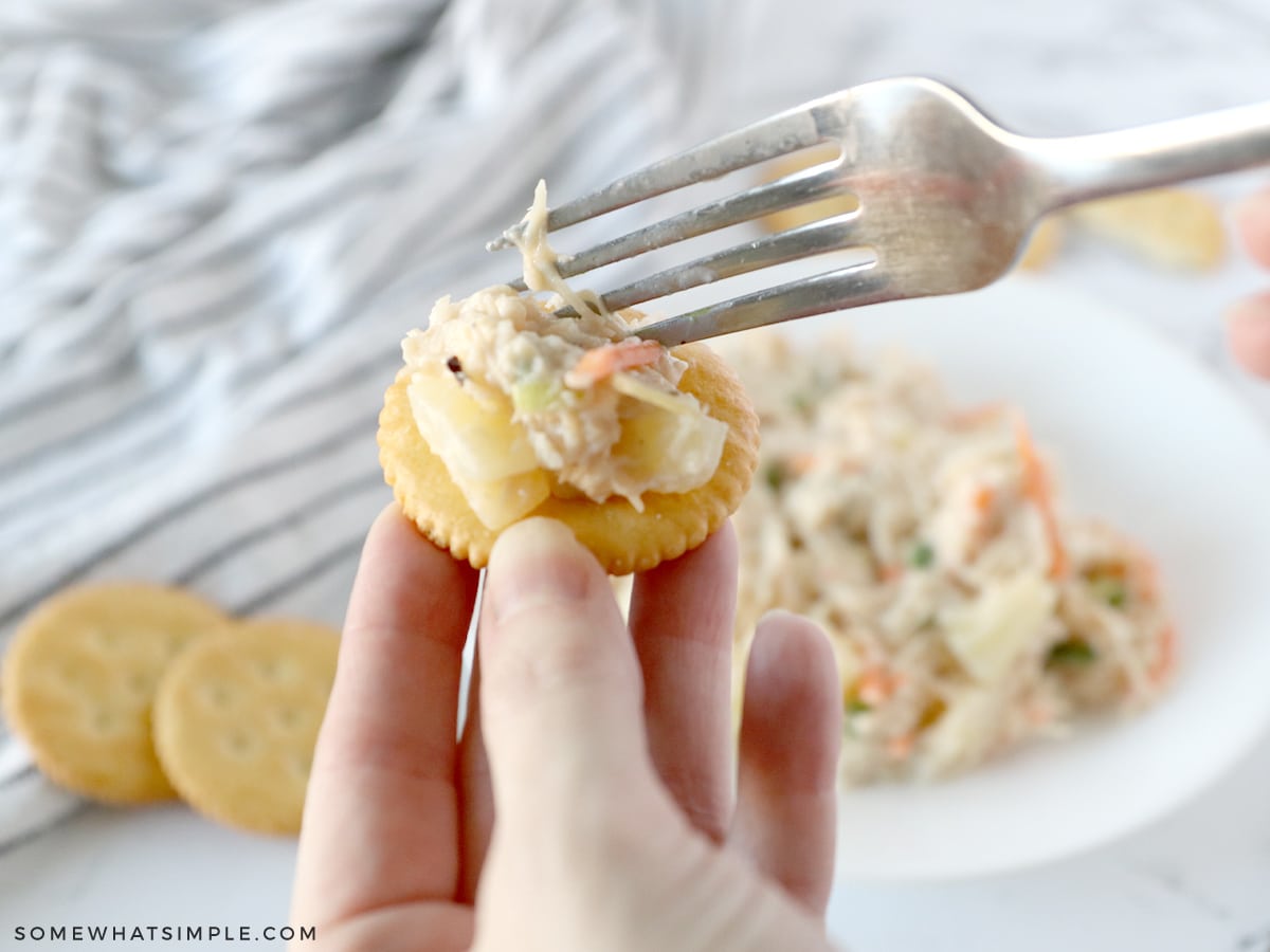 adding chicken salad to a cracker