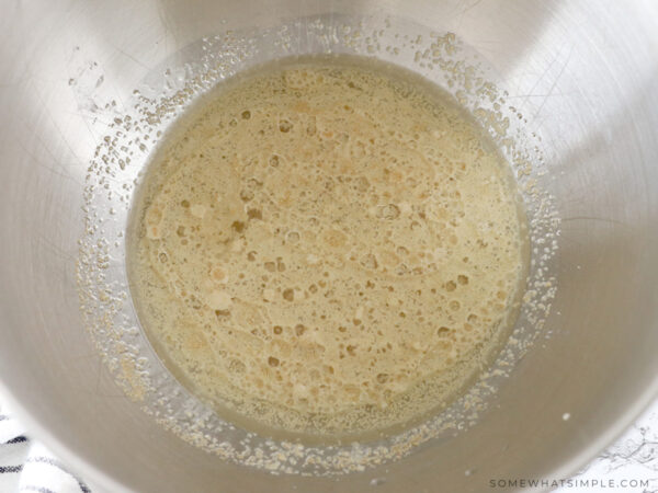 yeast and water in a metal mixing bowl