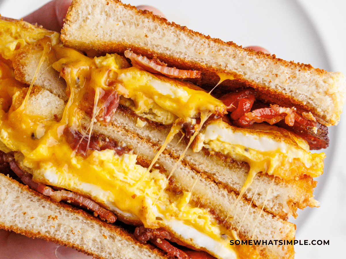 close up of a scrambled egg sandwich