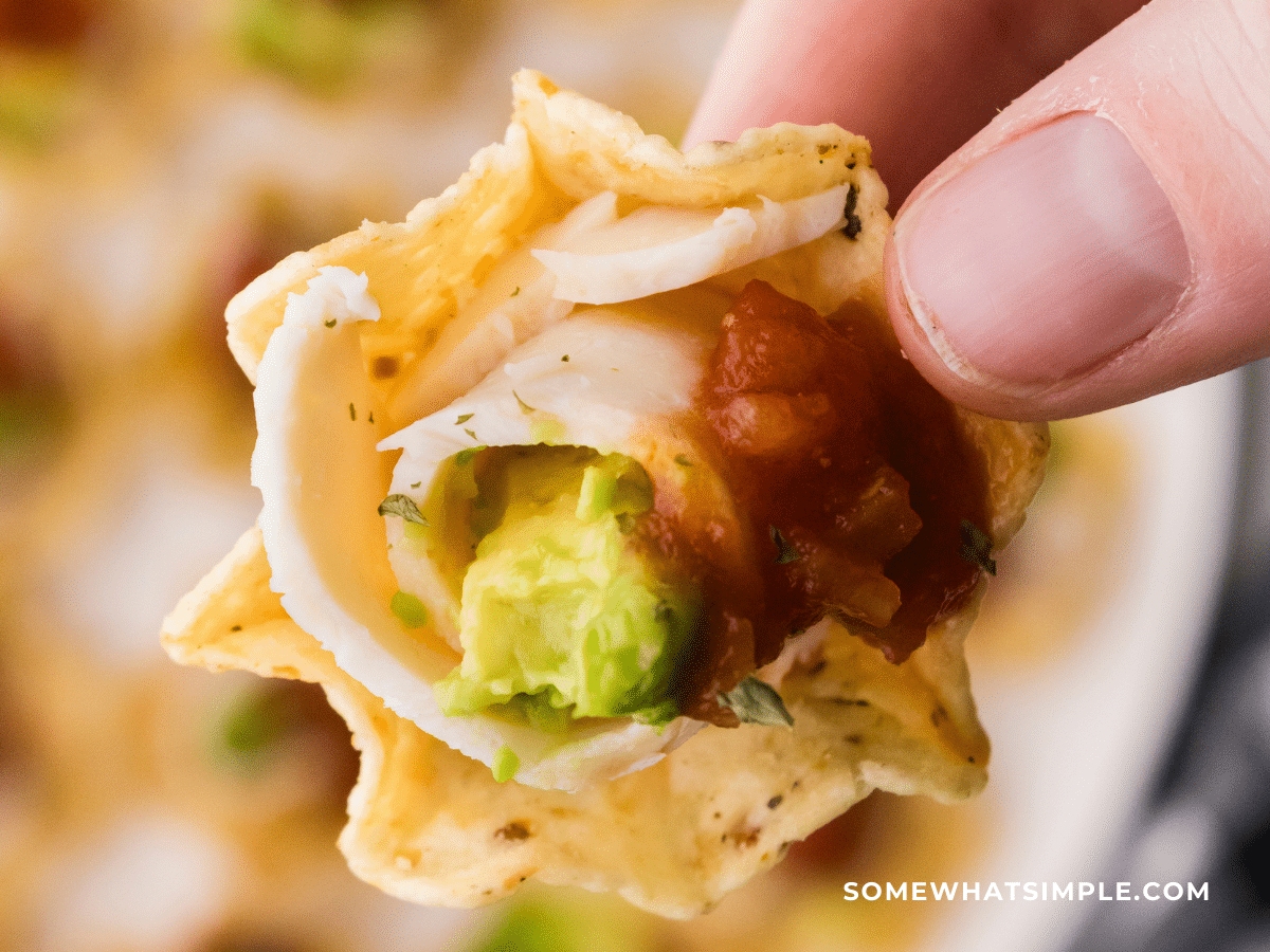 close up of finished product of Chicken Avocado Appetizer