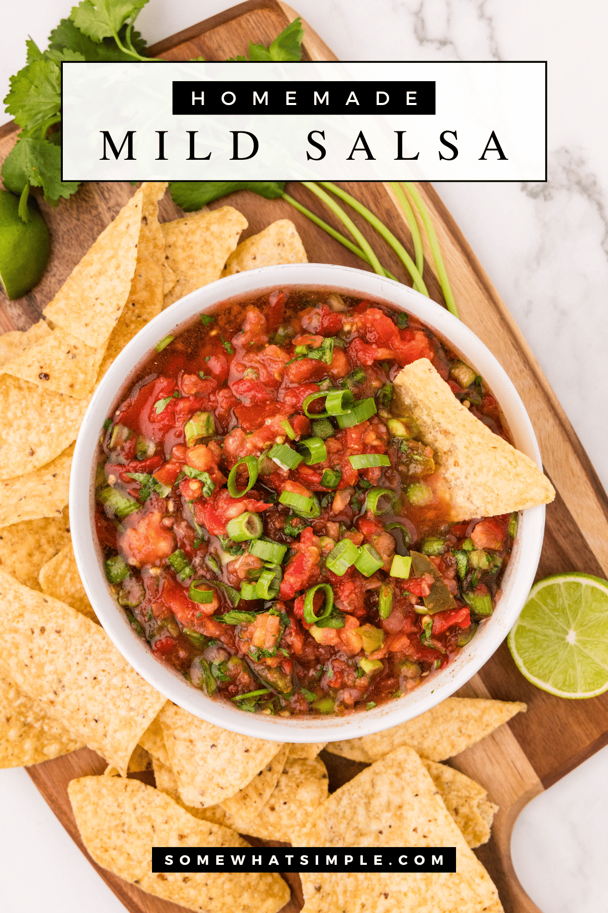 This mild homemade salsa recipe is so easy to make and tastes amazing! A restaurant style salsa made with fresh tomatoes, green onions, cilantro, limes, and pickled jalapenos. It's the perfect blend of fresh vegetables and savory spices that is perfect for dipping, scooping, and topping! via @somewhatsimple