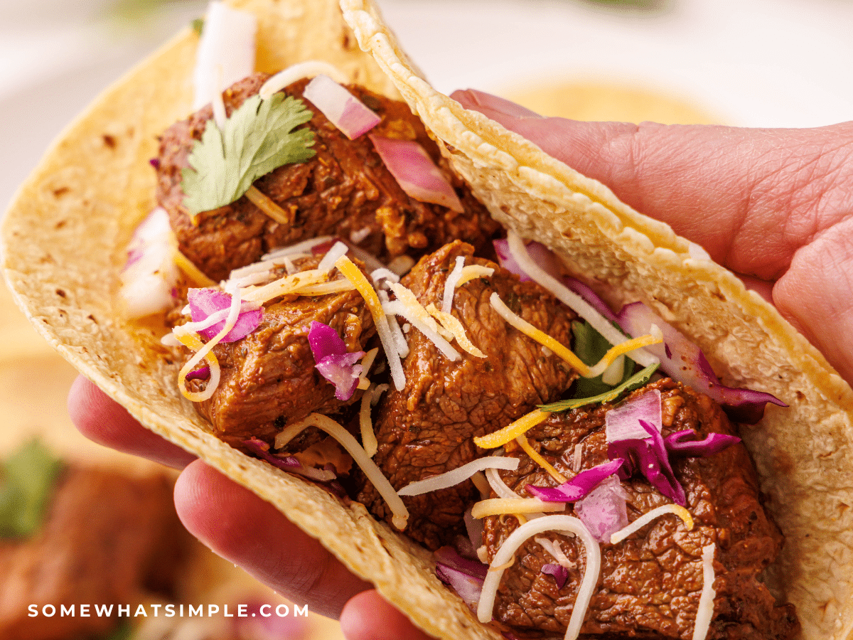 hand holding a Mexican Street Taco