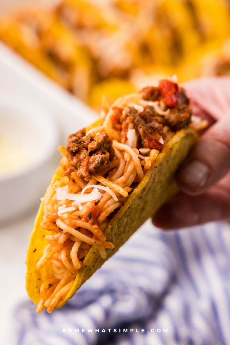 long image of a hand holding a spaghetti taco