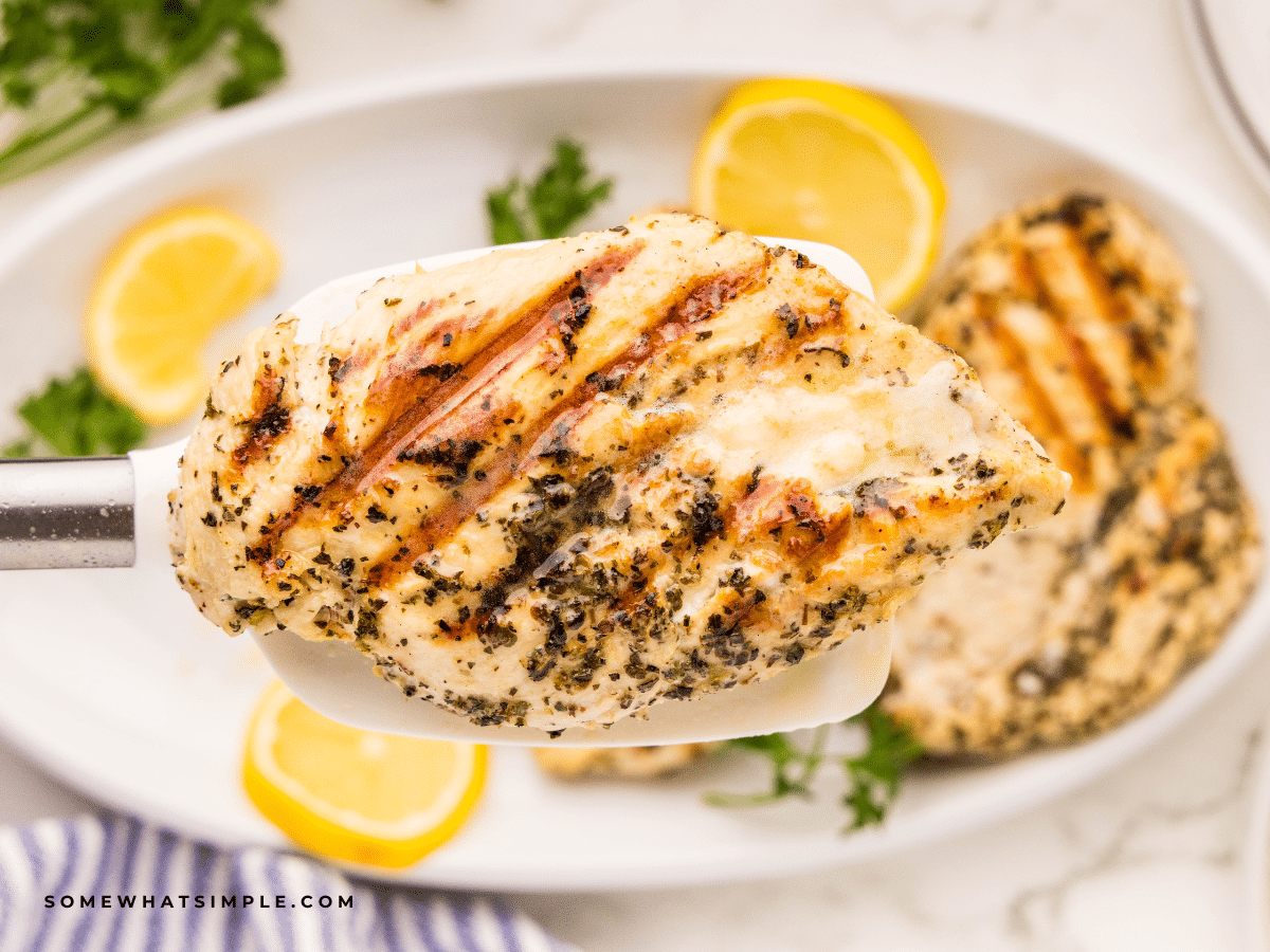 close up of marinated italian chicken breasts on a white plate