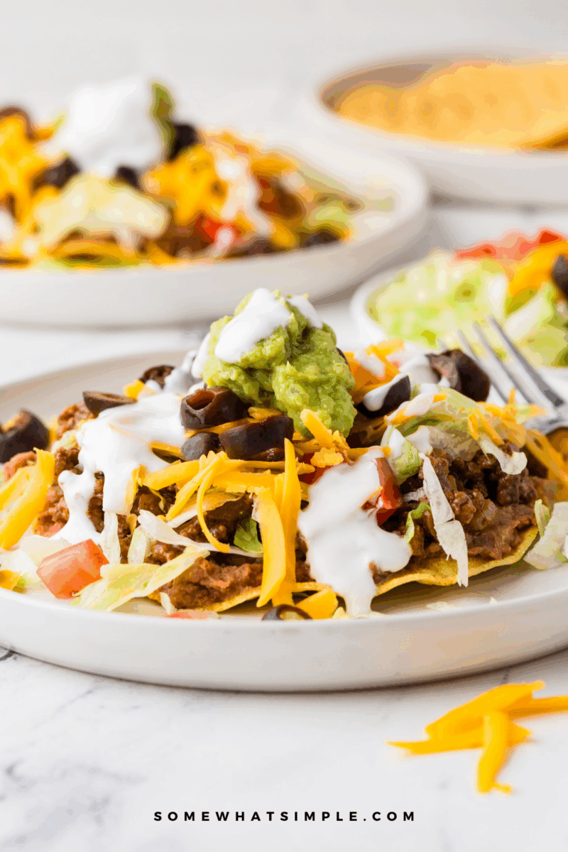 Close up shot of Beef Tostadas
