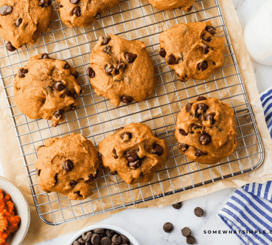 Pumpkin Chocolate Chip Cookies fresh from the oven on a baking sheet