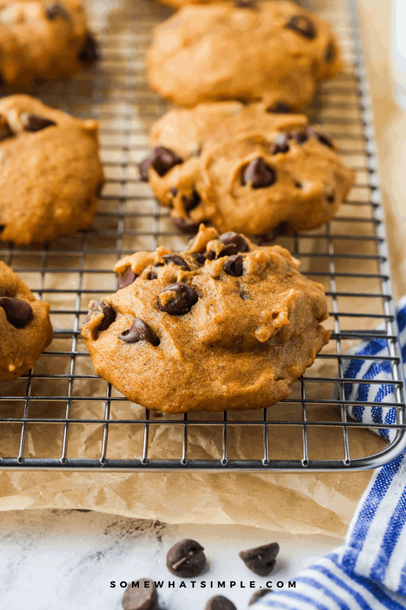 close up of a Pumpkin Chocolate Chip Cookie on a baking sheet